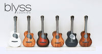 Blyss Acoustic Guitar Cutter/ Stencil Combo