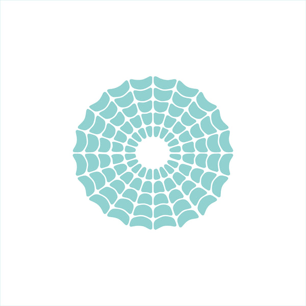 Large Spider Web Stencil