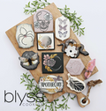 Blyss Black Magic Accessories Kit